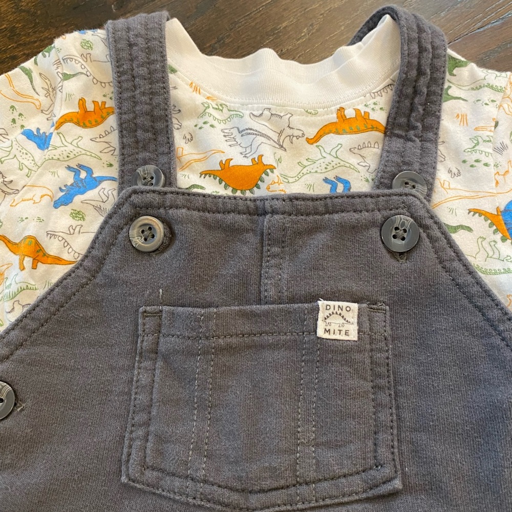 Toddler boy dinosaur shortalls set - Picture 2 of 8